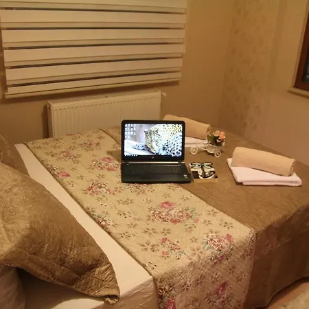 Apartment New Armila
